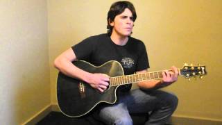 Video thumbnail of "TROY WILLIS Covers "Dust On The Bottle" By David Lee Murphy"