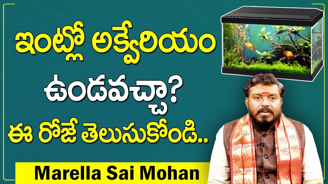 Can We Keep Aquarium in Home Aquarium Vastu Position in Home