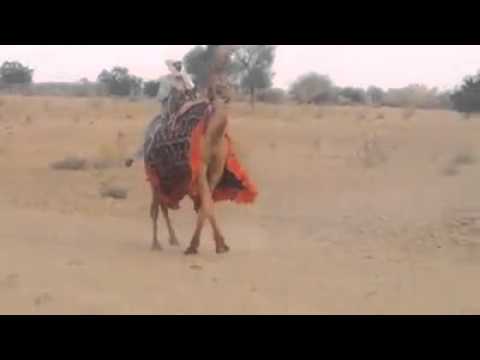 Sawan Rajar Sawan Rajar - YouTube