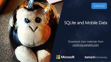 XAM160 - SQLite and Mobile Data