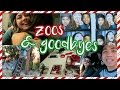 VLOGMAS DAY 16: Animals Attacking Each Other at the Zoo?! And Goodbye Tara :(