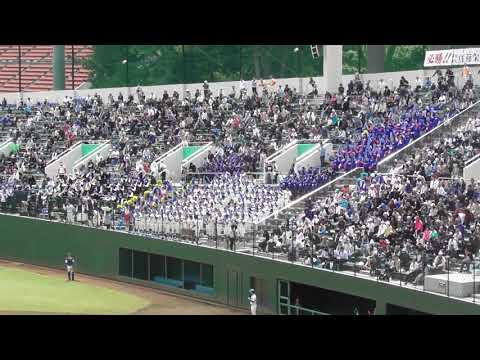 2019春季県大会応援　花咲徳栄　オーメンズオブラブ~アフリカンシンフォニー~サスケ