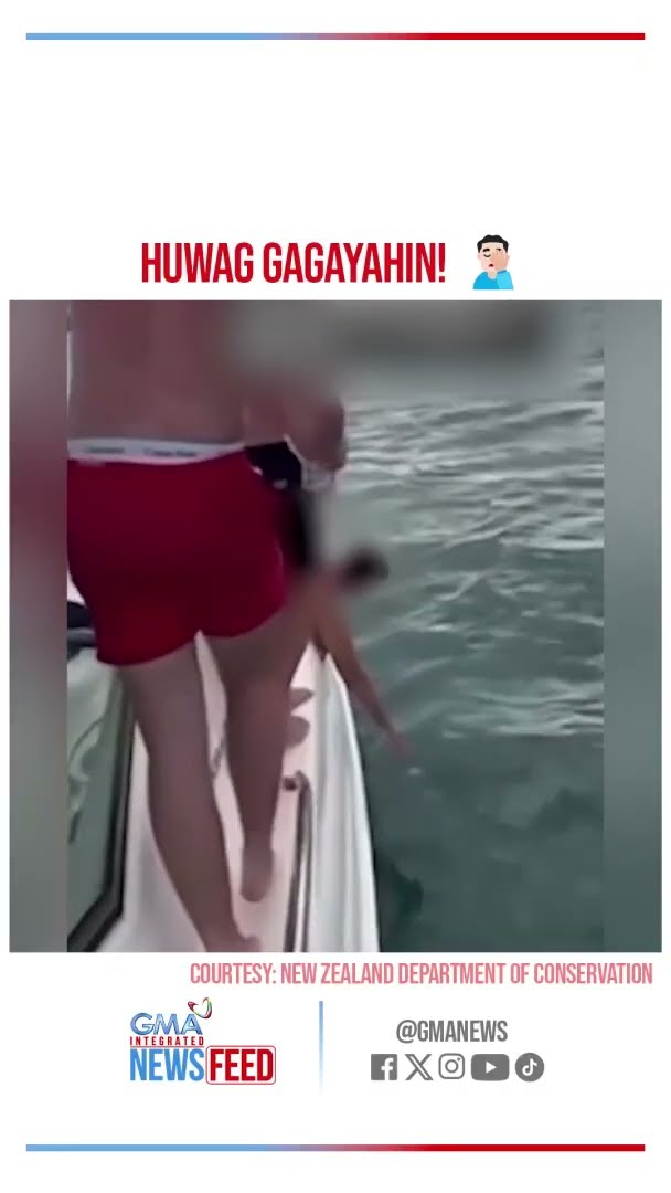Mga orca, tinalunan ng isang lalaki | GMA Integrated Newsfeed