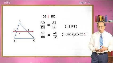 Samveda - 10th - Maths - Triangles (Part 3 of 8) - Day 12