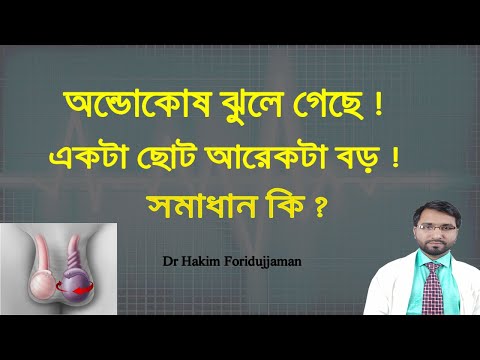 ভিডিও: কোয়েস্টগুলি কী এবং সেগুলি কী৷