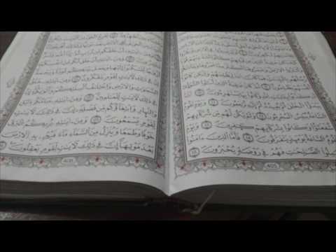 ما تيسر من سورةالنساء للقارئ الشيخ عبدالعزيز ظفر 