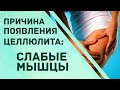 Целлюлит - это слабые мышцы.