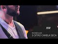 3 OITÃO CANELA SECA - The Patch Records