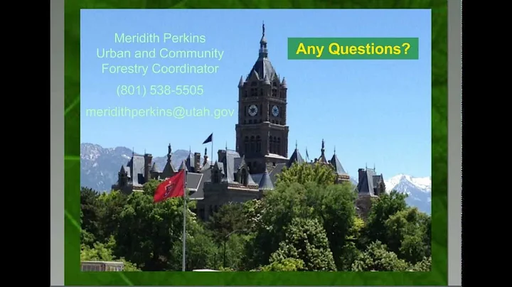 Strategic Tree Planting: Efforts to Maximize Tree Benefits