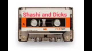 disco music 🎶🎵 Shashi and dicks