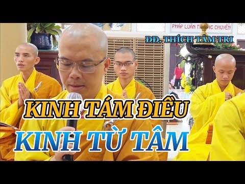 Video Kinh Nhật Tụng: Kinh Tám Điều - Kinh Từ Tâm | ĐĐ. - youtube