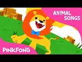 Will You Marry Me? | Animal Songs | PINKFONG Songs for Children