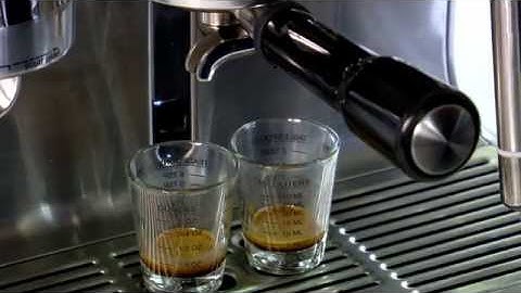 Dial In The Grind - The Oracle by Sage