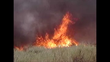 S-131 (2016) Unit 4 Fire Behavior Exercise