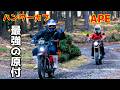 [Is It Really the Ultimate Moped!?] I Entered the Okushizu Adventure Rally on a Hunter Cub! Can I...