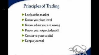 Technical Analysis Course - Module 17: Strategies and Trading Principles Net Worth