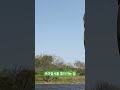 부여별서를 찾아가는길