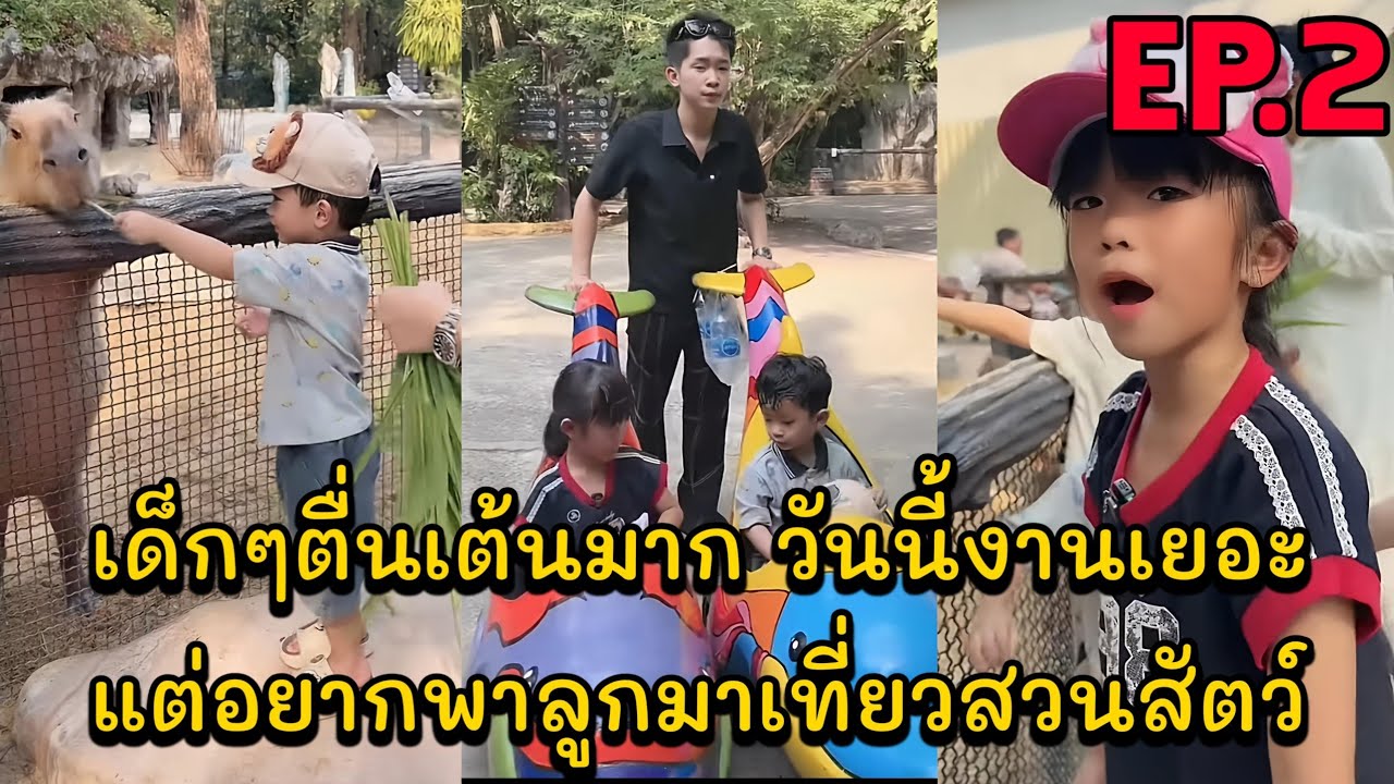 เด็กๆตื่นเต้นมาก วันนี้งานเยอะแต่อยากพาลูกมาเที่ยวสวนสัตว์ EP.2