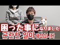 【結婚14年目の日韓夫婦と子供】ある日突然の通告を受けて…