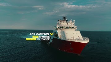 STEVSHARK®REX 18mT Australia