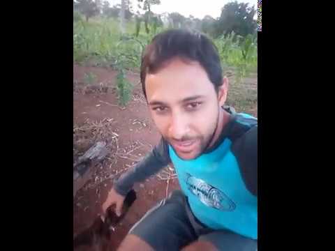 ozônio life ANDANDO NA MATA - MOSQUITOS - SIMPLICIDADE DA ROÇA