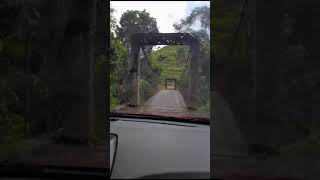 Tico Times - A Bridge to Remember #wildlife #wildlifecamera #nature #costarica