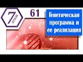 Генетическая программа и ее реализация (Архив проекта #7этаж)