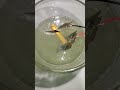 Heating water with a blade 😱 #experiment #ytshorts #viral