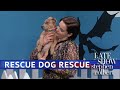 Rescue Dog Rescue: Game Of Thrones Edition With Emilia Clarke