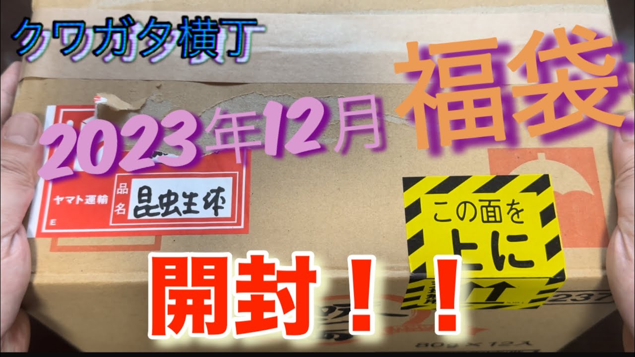 クワカブ福袋】クワガタ横丁1万円福袋開封！！ - YouTube