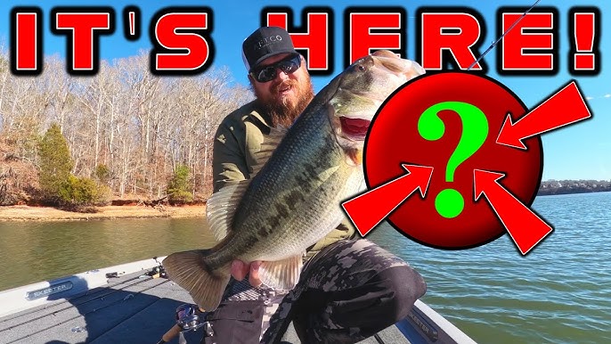 This Ultralight Alabama Rig Is INSANE! 