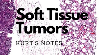 Soft Tissue Tumors: Kurt’s Notes #pathagonia screenshot 3