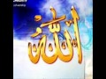 فمبلغ العلم فيه أنه بشر وأنه خير خلق الله كلهم