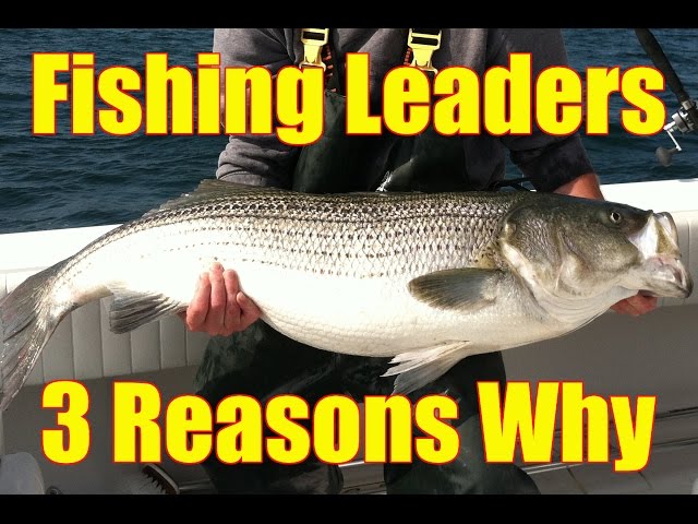 Three Reasons WHY to USE a LEADER in with Braid or Monofilament