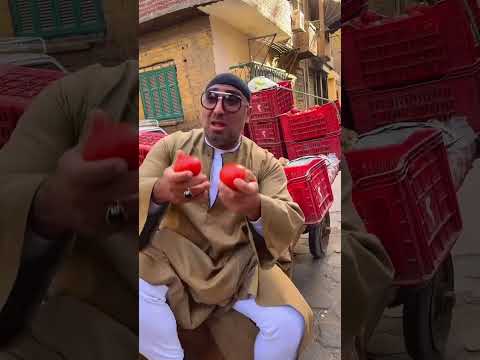 با بتاع القوطه Drhatemsettin 