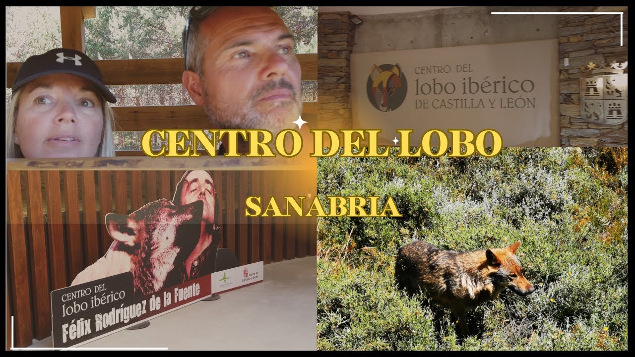 Centro del Lobo Ibérico FÉLIX RODRIGUEZ DE LA FUENTE. Sanabria