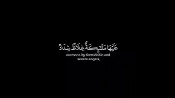 كرومة شاشة سوداء بصوت الشيخ#أبو_بكر_الشاطري#سورة_التحريم