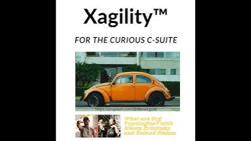 What are Org Topologies? with Alexey Krivitsky and Roland Flemm