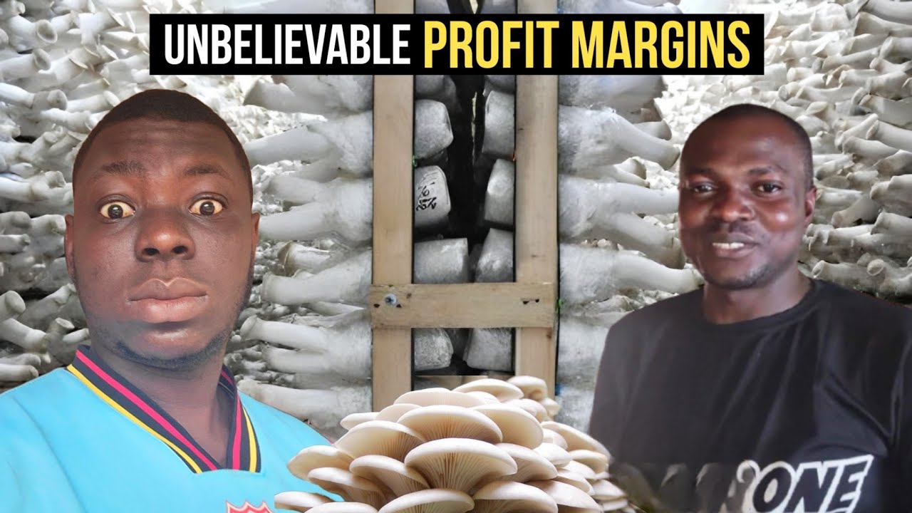 Как он начинал с малого и построил прибыльную грибную ферму