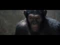 Official first look at apes from weta