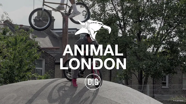 Animal London - DIG BMX