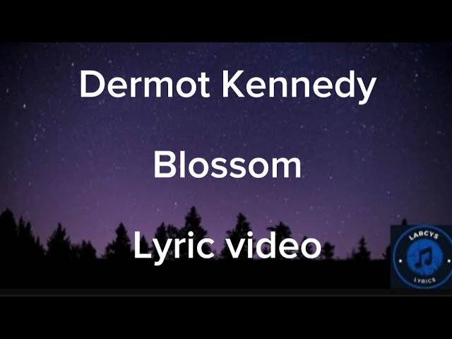 Dermot Kennedy - Blossom Lyric video