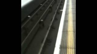 2013 10 22 22 03 08 堀圭子 検索動画30 2013 10 22 22 03 08 堀圭子 検索動画 30