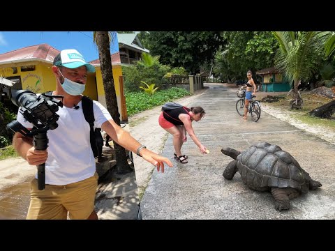 Video: Cel mai bun moment pentru a vizita Insulele Seychelles