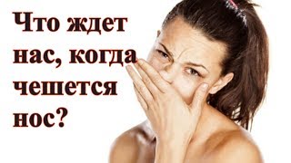 Что ждет нас, когда чешется нос?- Народные приметы