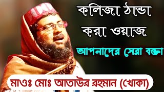 নিউ ওয়াজ। মাওঃ মোঃ আতাউর রহমান (খোকা) Maulana ataur Rahman new waz