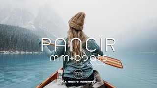  Pancir Alan Walker Type Beat Instrumental Prod By Mm Beats