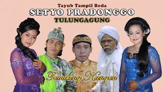 Karawitan Setyo Pradonggo Tulungagung - Tayub Tampil Beda 'Tembang Kangen' Full Album