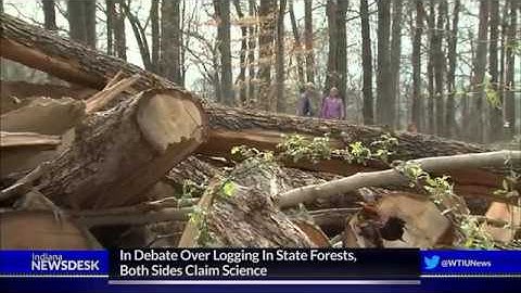 In Debate Over Logging In State Forests, Both Sides Claim Science
