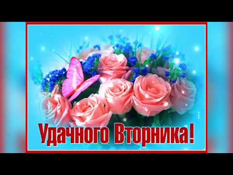 Самого лучшего вторника!Красивая музыкальная открытка!